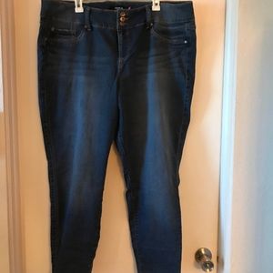 Torrid Denim